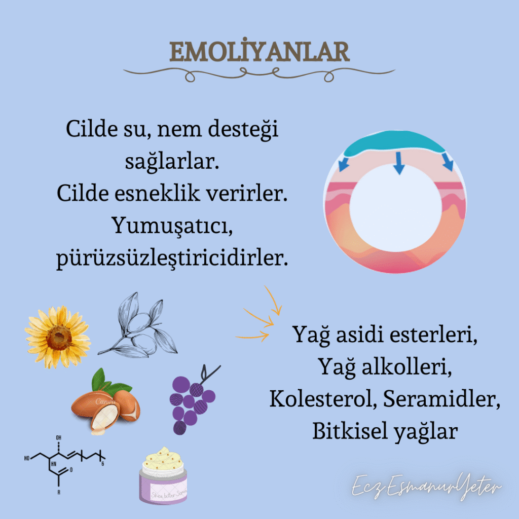 Nemlendirici Sınıflandırması